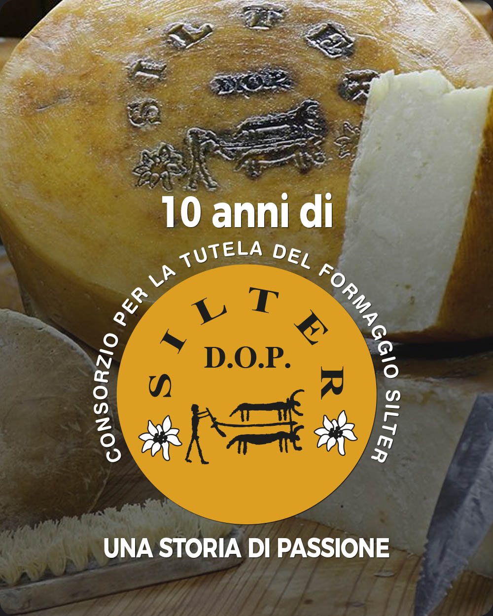 10 anni di Silter D.O.P.